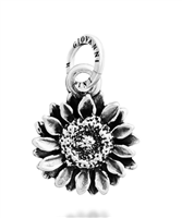 Charm Giovanni Raspini in Argento 12719